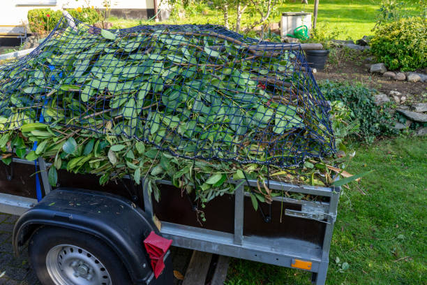 Castle Rock, CO Junk Removal Services Company